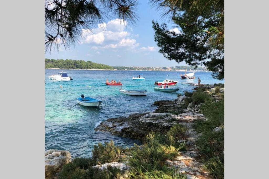 Near Beach - Apartments Marica - Studio Rovinj Bagian luar foto
